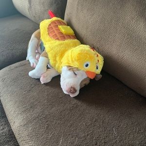 Meet your Posher, Dayana